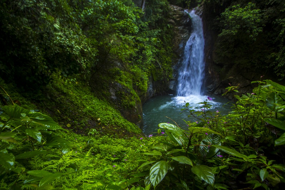 Melirik Ekowisata, pariwisata berbasis pelestarian alam